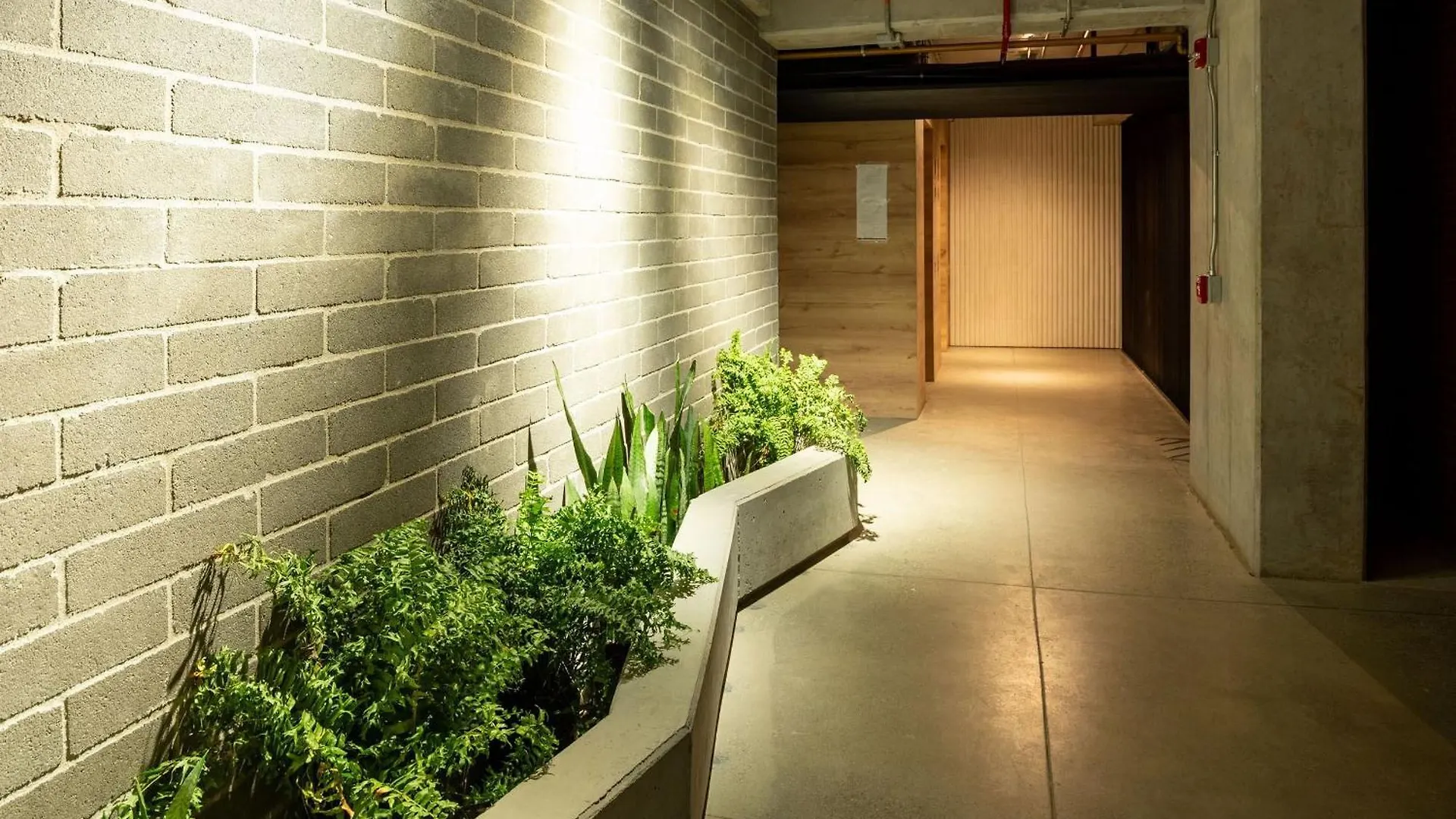 Apartamento Loft Exclusivo En La Candelaria Medellín